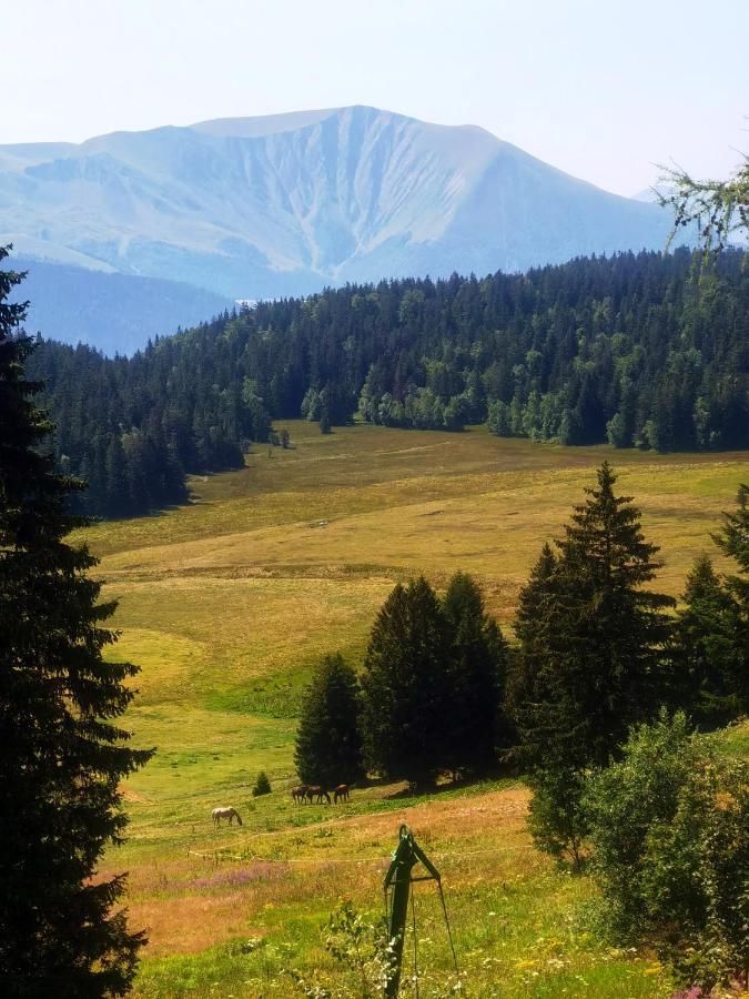 Chamrousse-Sport&Detente Appartement 6 Couchages Avec Superbe Vue Luaran gambar